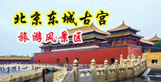 狂插肉洞中国北京-东城古宫旅游风景区